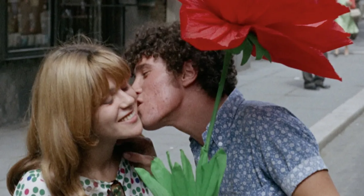 The Sequence of the Paper Flower