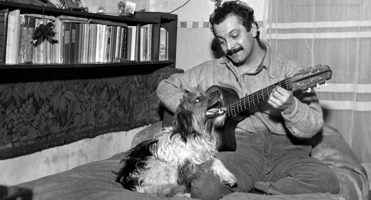 Le regard de Georges Brassens