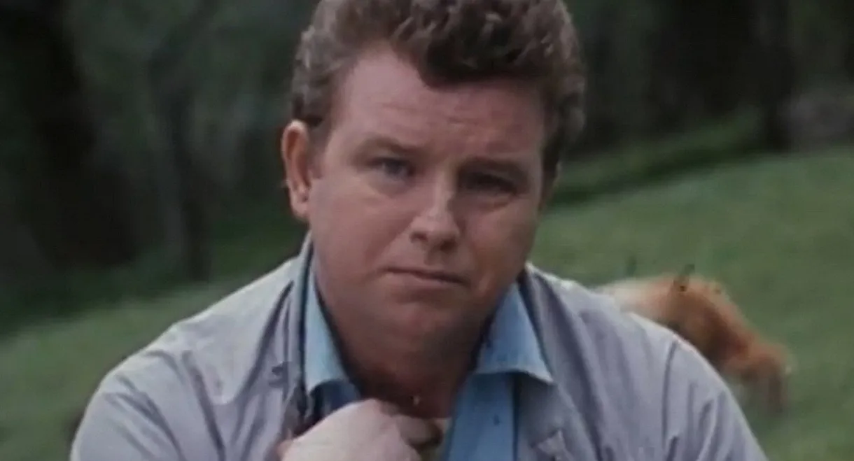 Memories of the "Cow March"