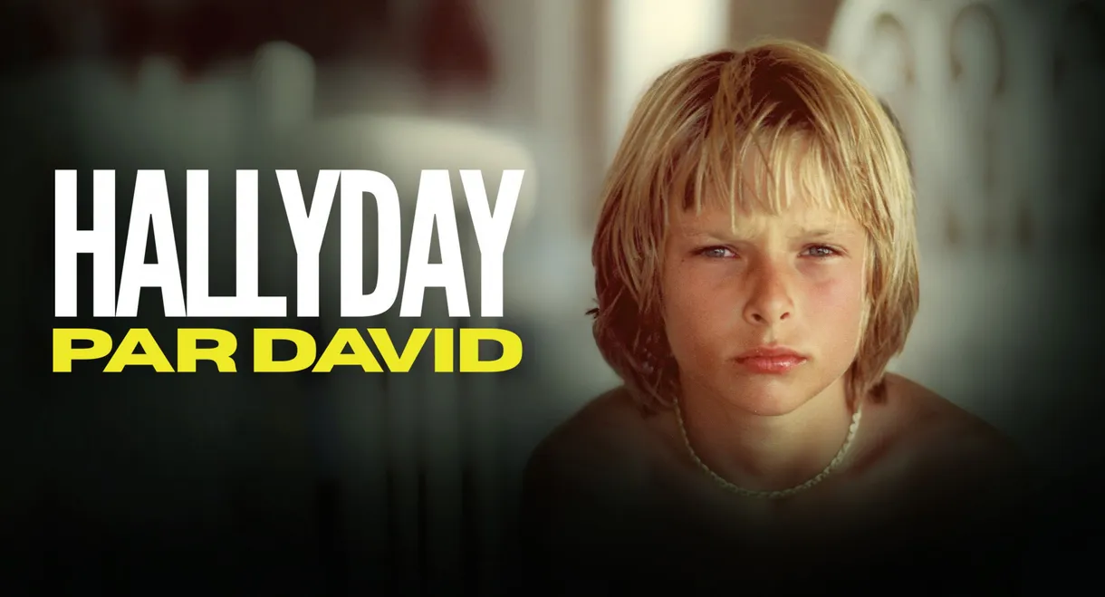 Hallyday par David