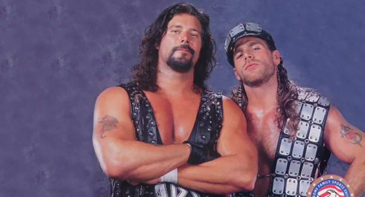 WWE Survivor Series 1995