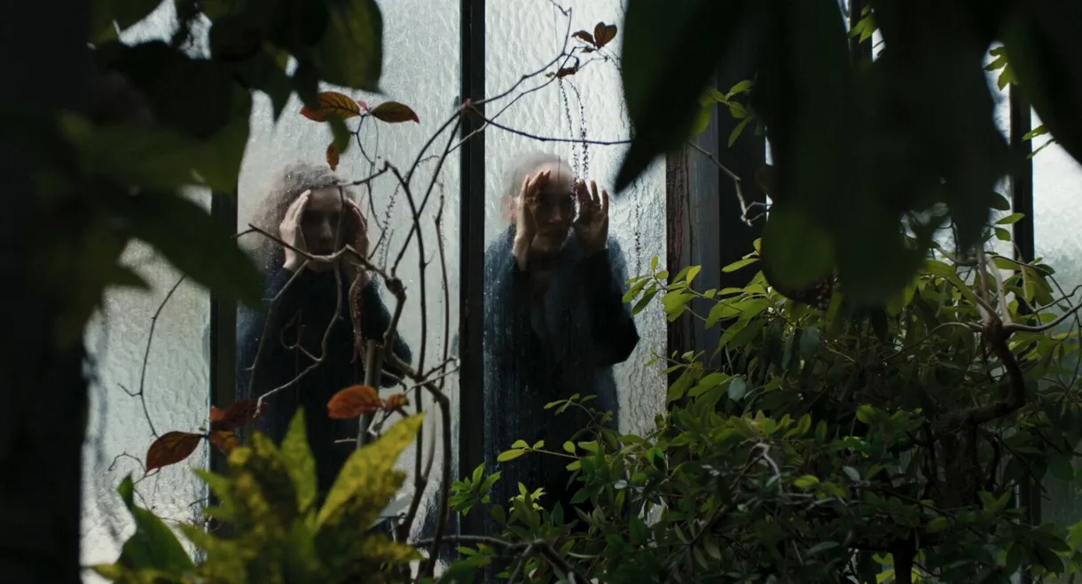 A Little Love Package