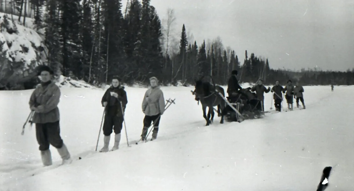 Russian Yeti: The Killer Lives