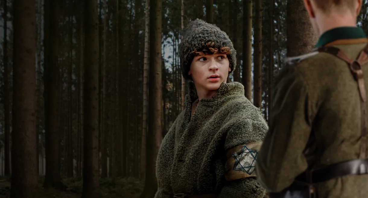 The Boy in the Woods