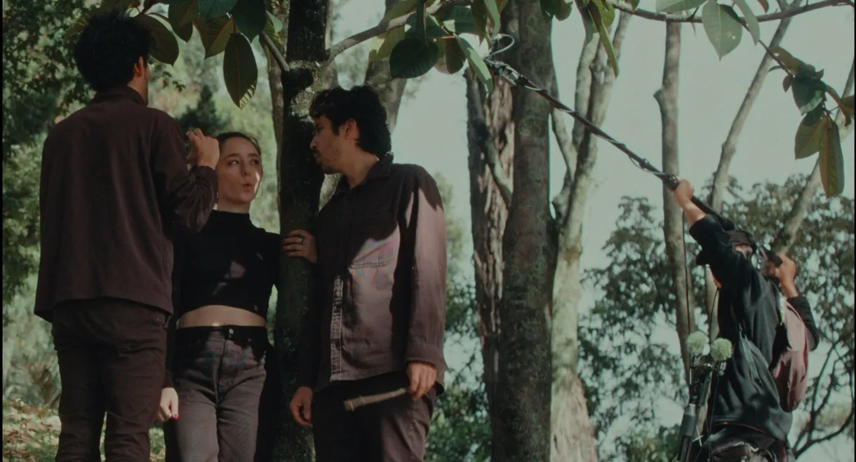 My Friend, The Architect