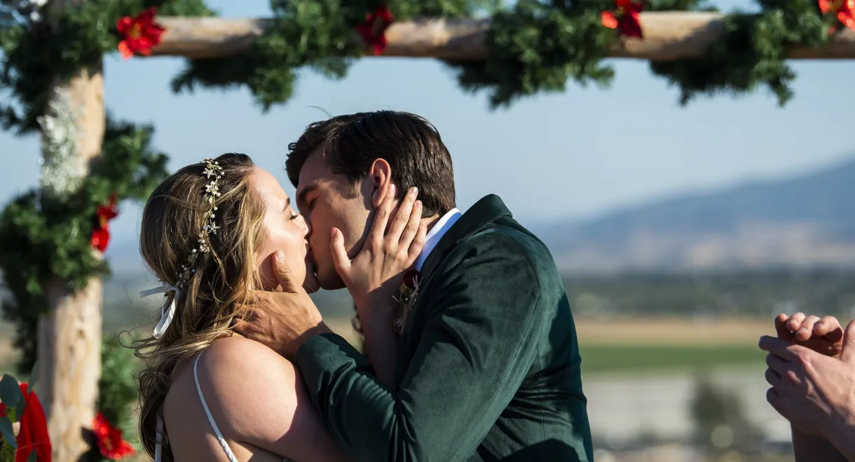 A California Christmas: City Lights