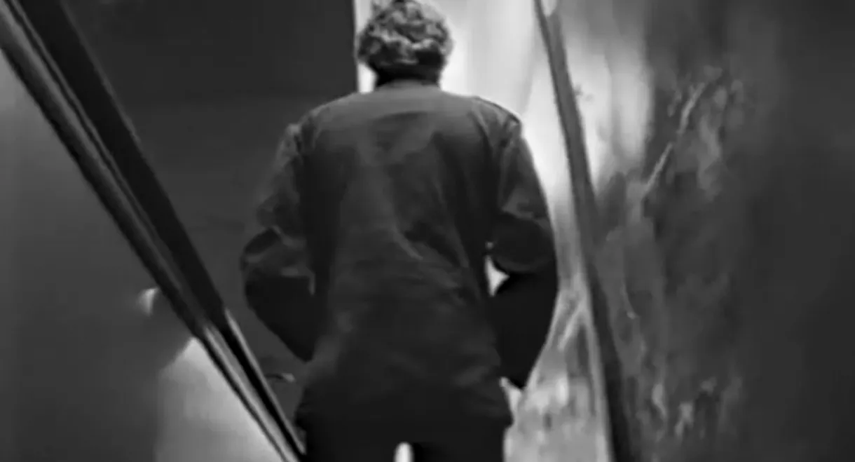 Vision for a New World