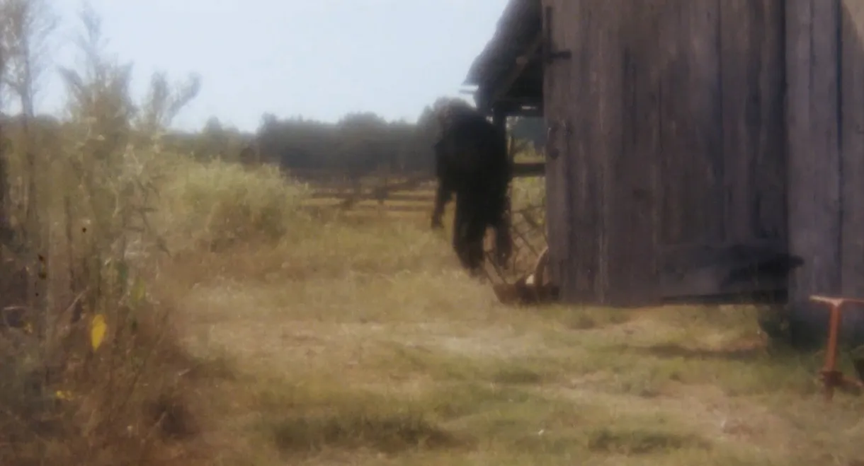 Boggy Creek II: And the Legend Continues