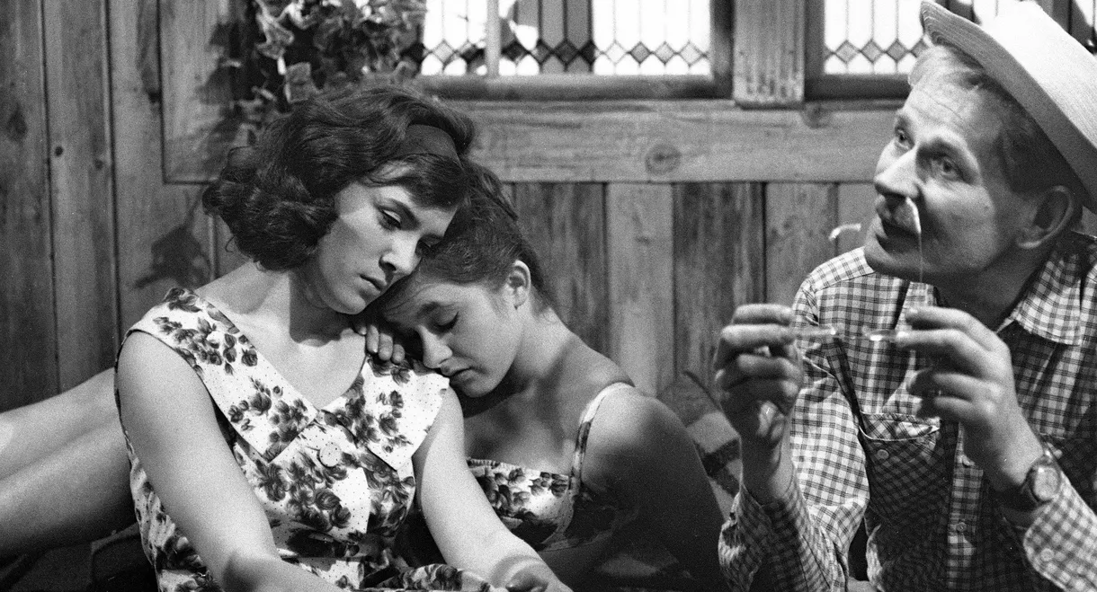 Dobrá rada pana Bartoše