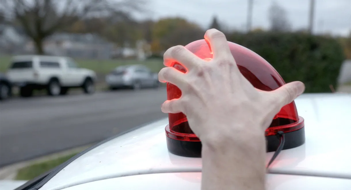 License & Registration