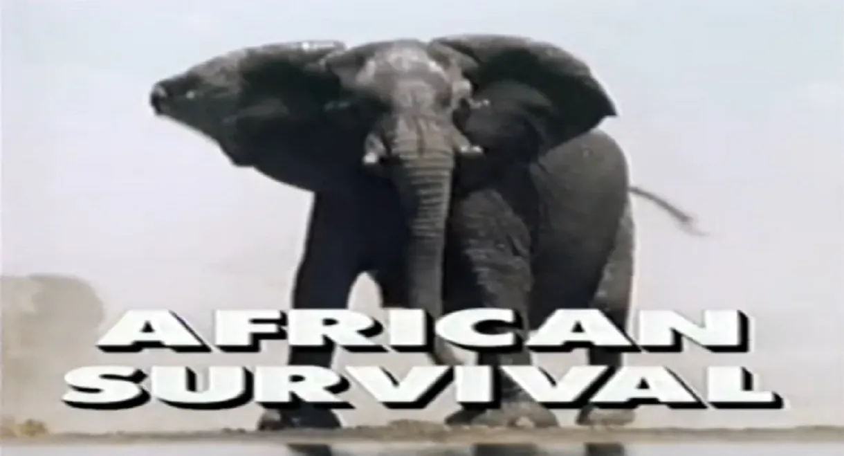 Predators of the Wild: African Survival