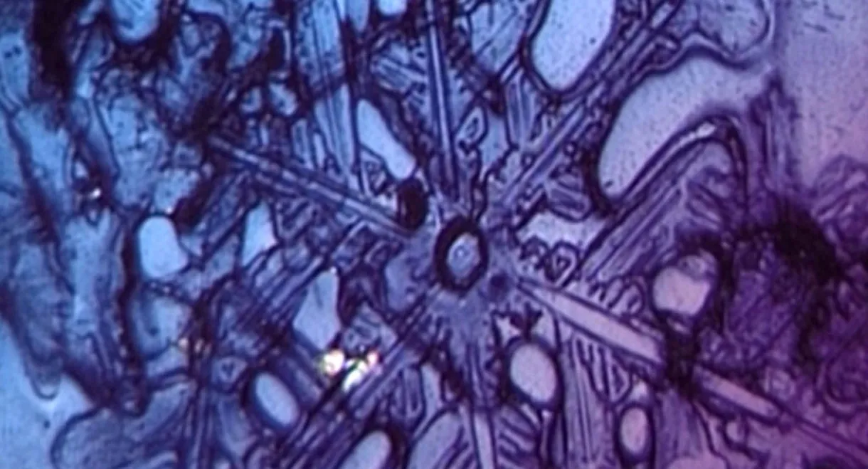 Neil Peart: A Work in Progress