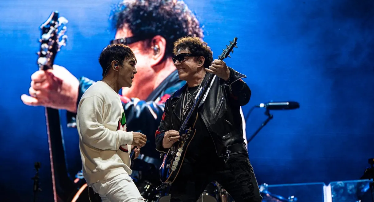 Journey - Live in concert at Lollapalooza