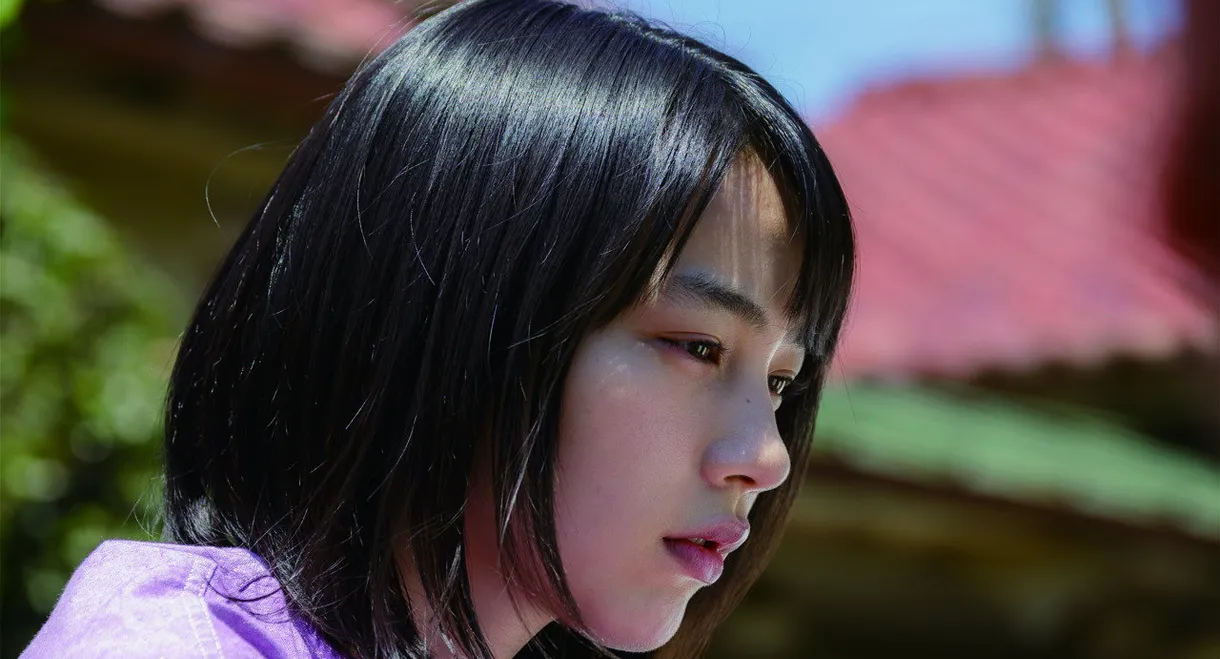 Stardust over the Town