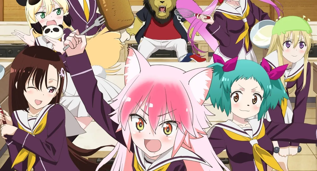 Seton Academy: Join the Pack!