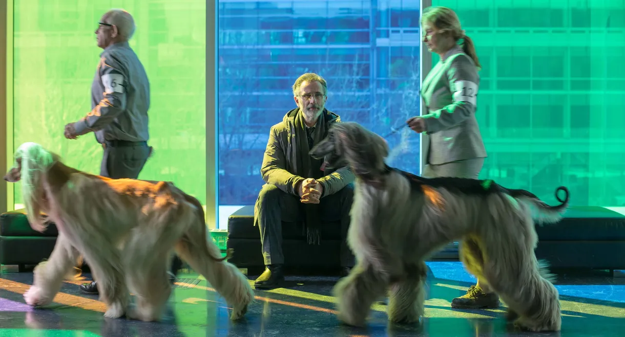 The New Life of Paul Sneijder