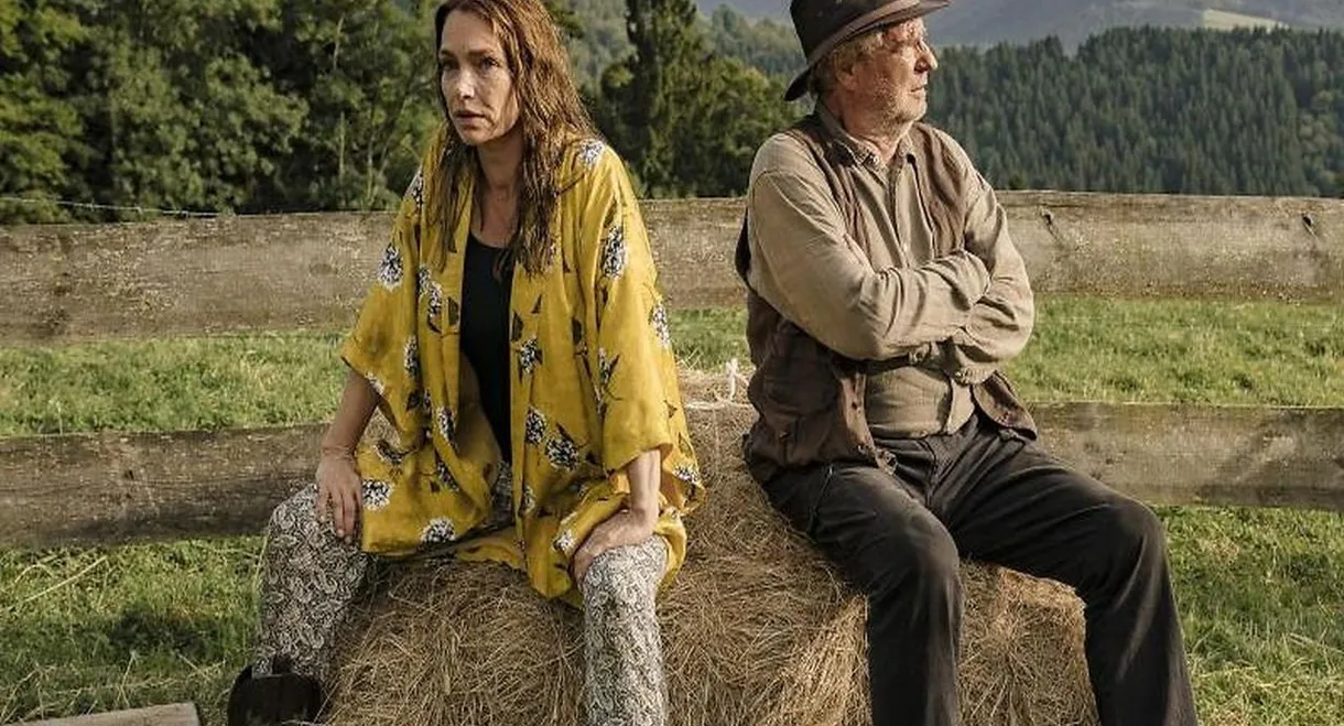 Zimmer mit Stall - Ab in die Berge