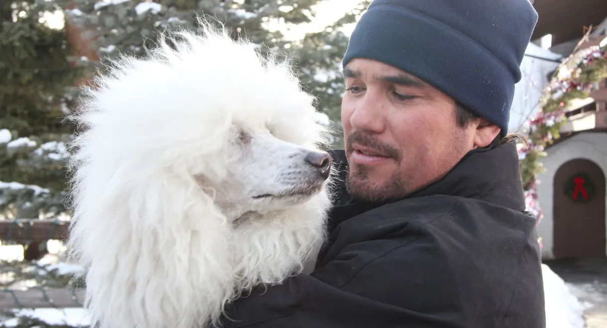 The Dog Who Saved Christmas Vacation