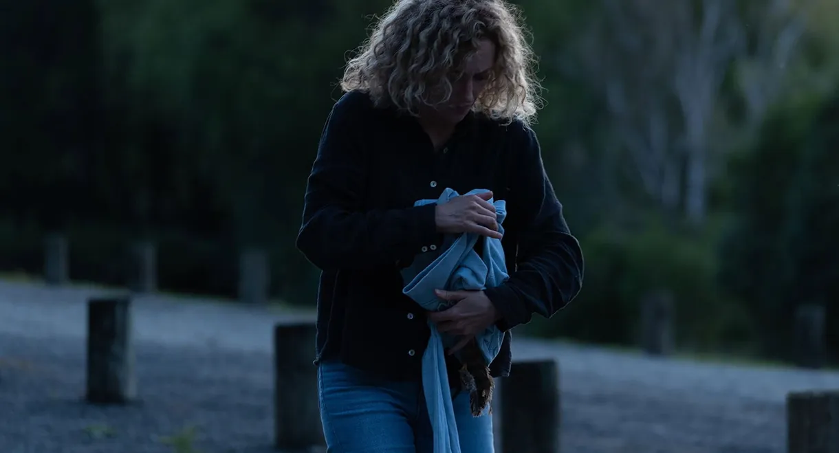 The Moon Is Upside Down