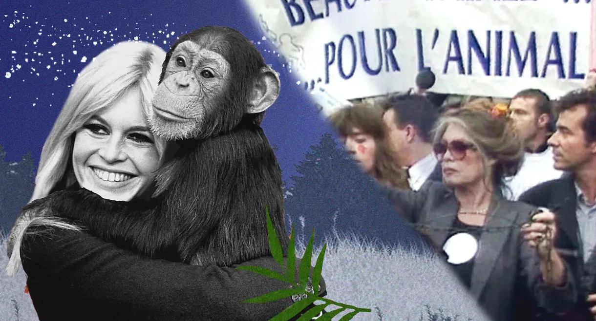 Brigitte Bardot, rebel with a cause