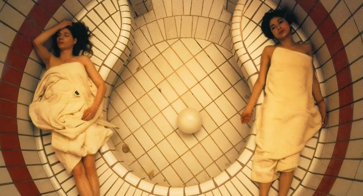 The Girl Who Picks Flowers and the Girl Who Kills Insects