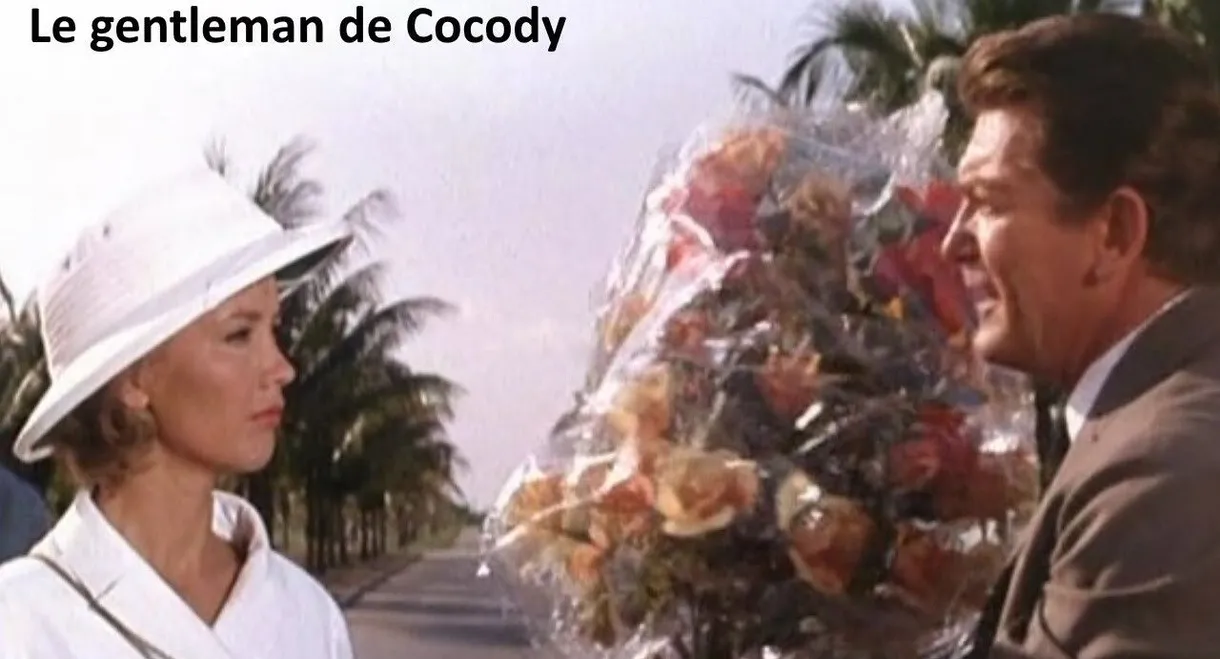 Ivory Coast Adventure