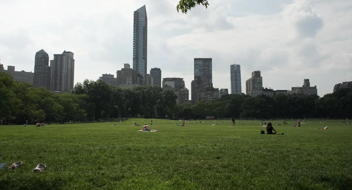 The Voices of New York