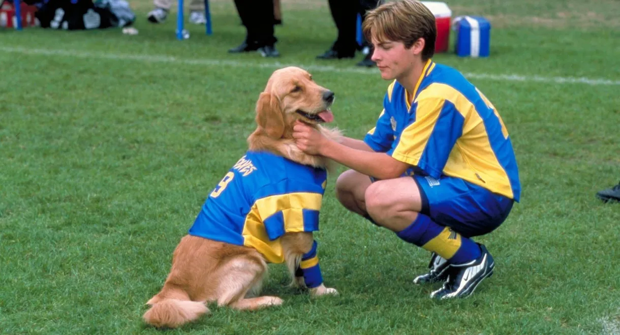 Air Bud: World Pup
