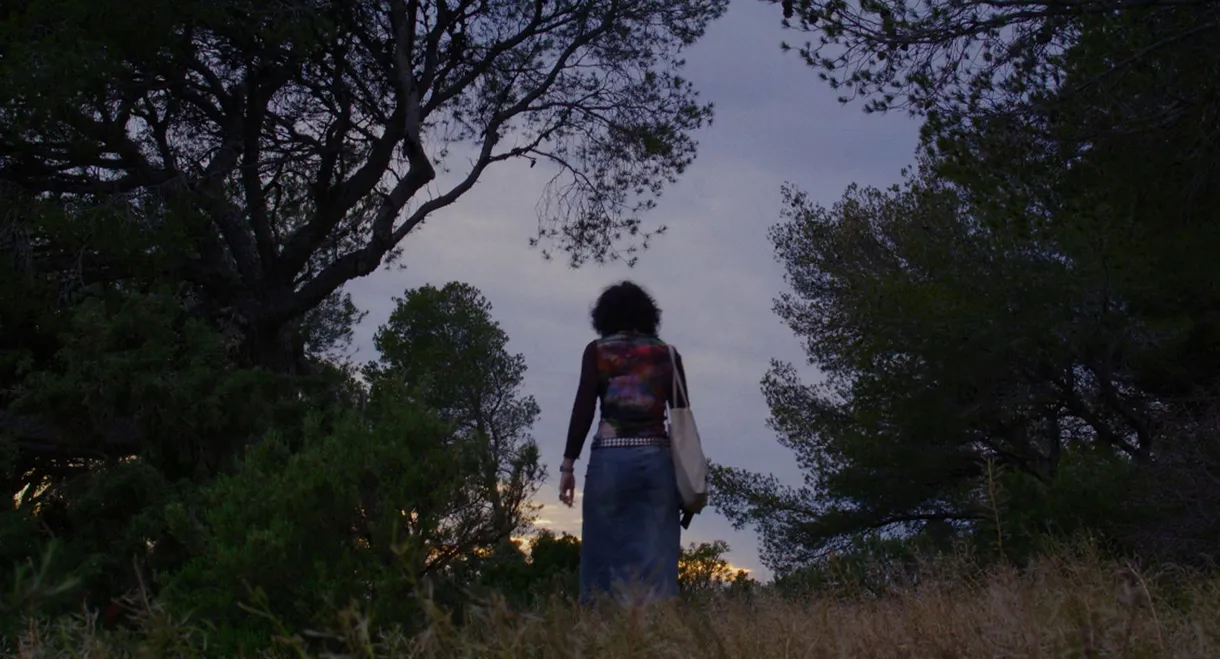 Les Grenouilles dans la Piscine