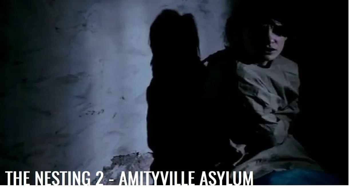The Amityville Asylum