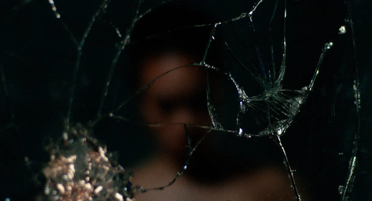 Spiders on My Lashline