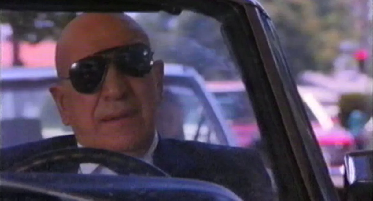 The Hollywood Detective