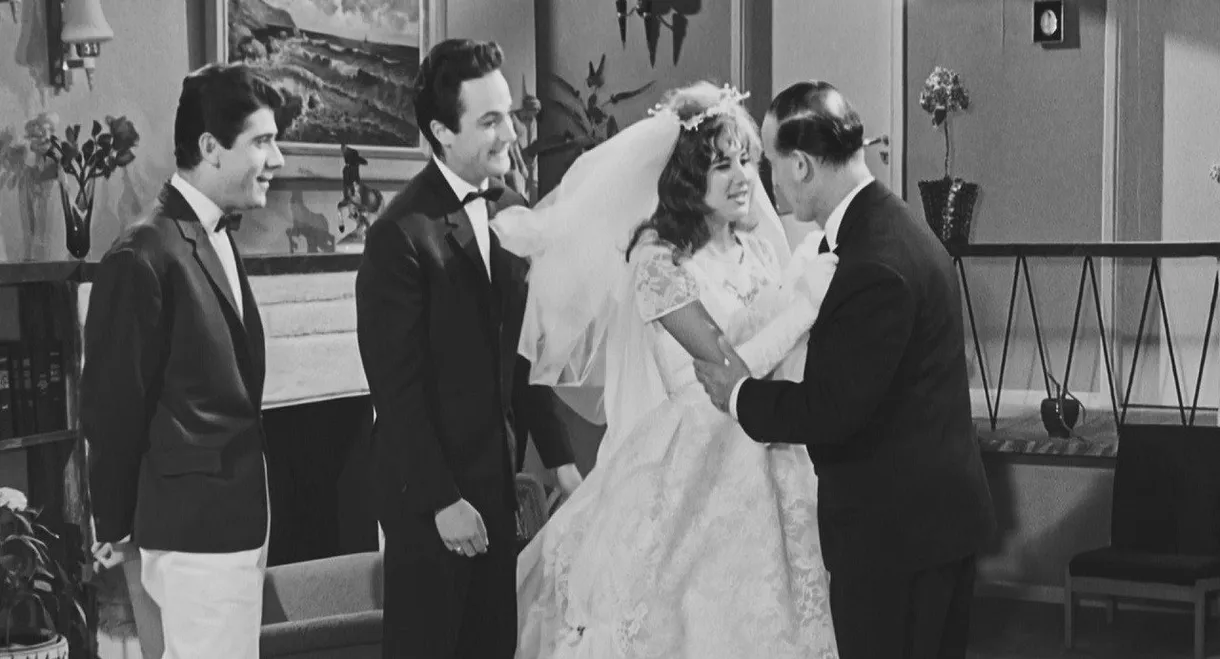 My Groom, the Lawyer!