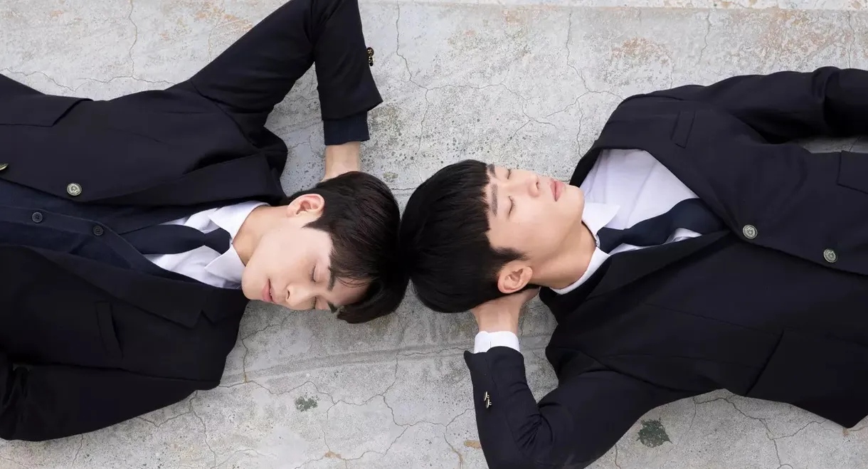 Where Your Eyes Linger