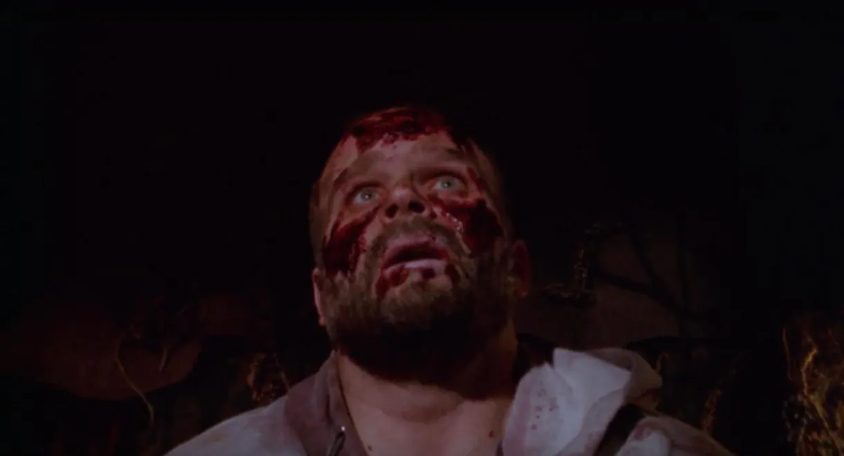 Beneath the Crawlspace