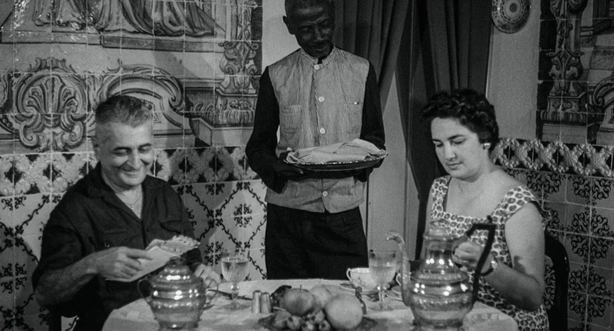 The Master of Apipucos