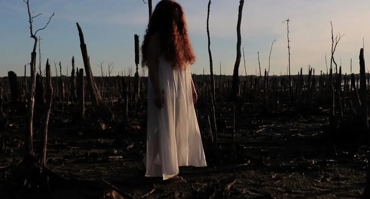 The Girl in the Cornfield