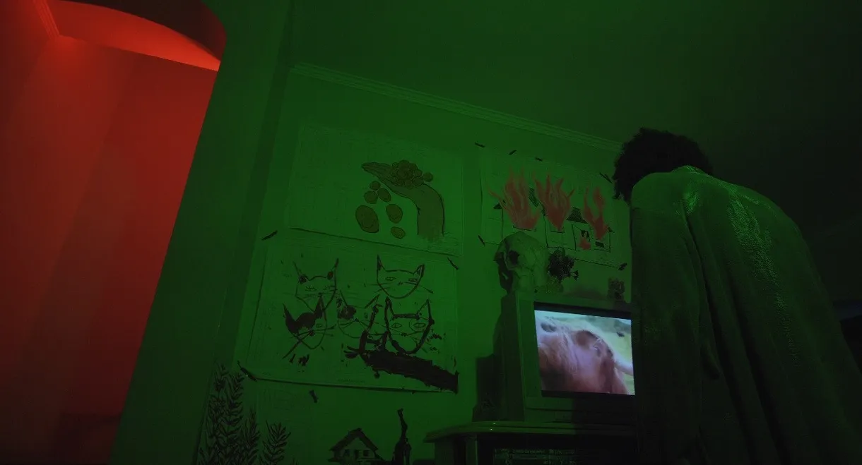 Hóspede, Exploração e Recompensa