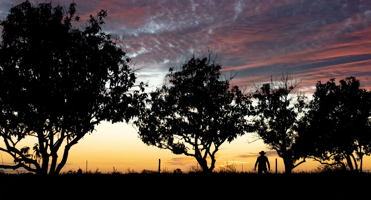 Ese tú que se me escapa