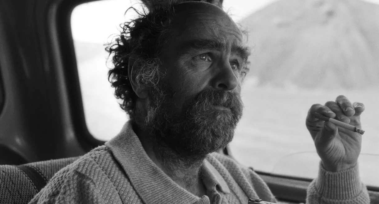 A Perfect Day for Caribou