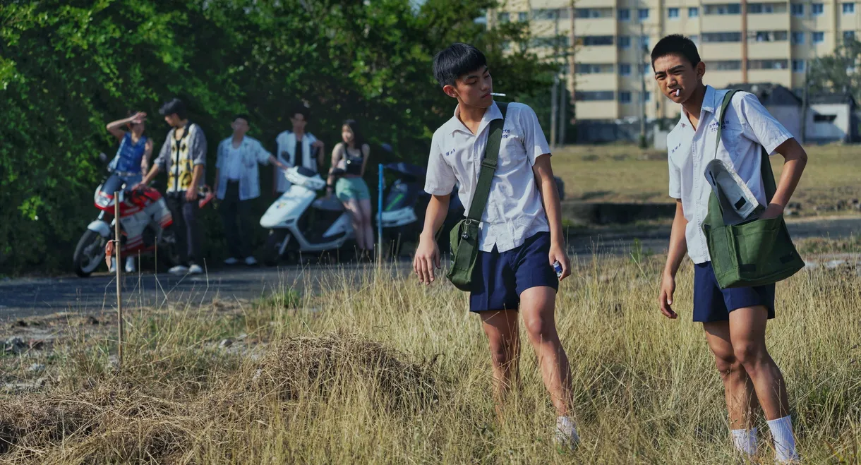 Before the Bright Day