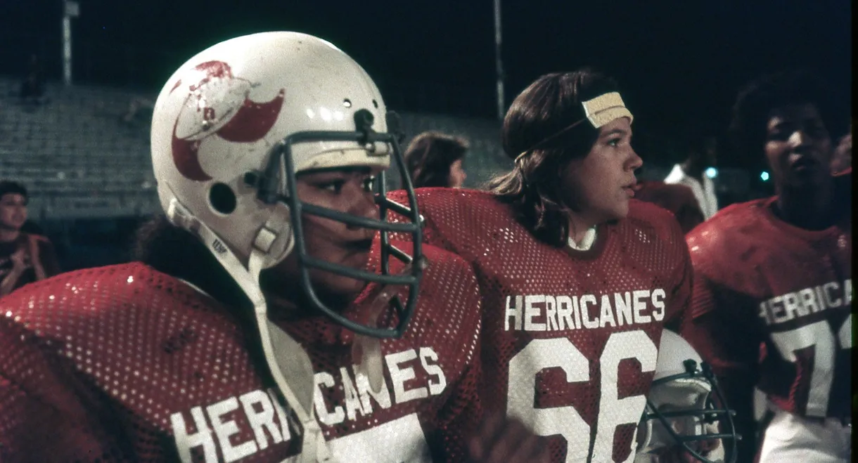 The Herricanes