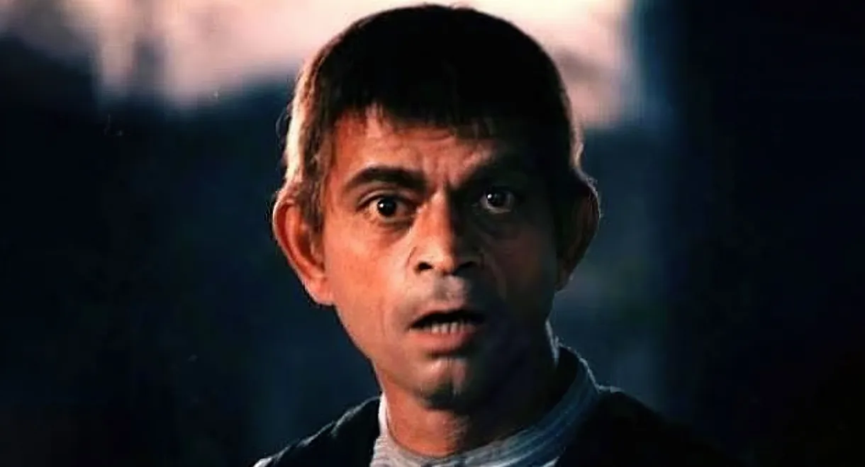 Travelers of Moonlight