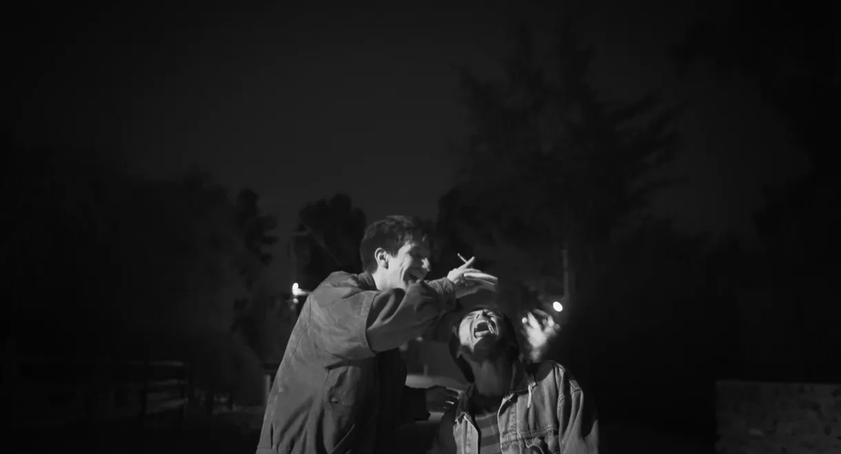 On Walking in Cinema