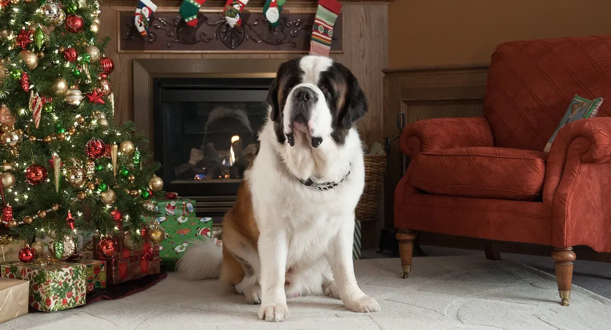 Beethoven's Christmas Adventure