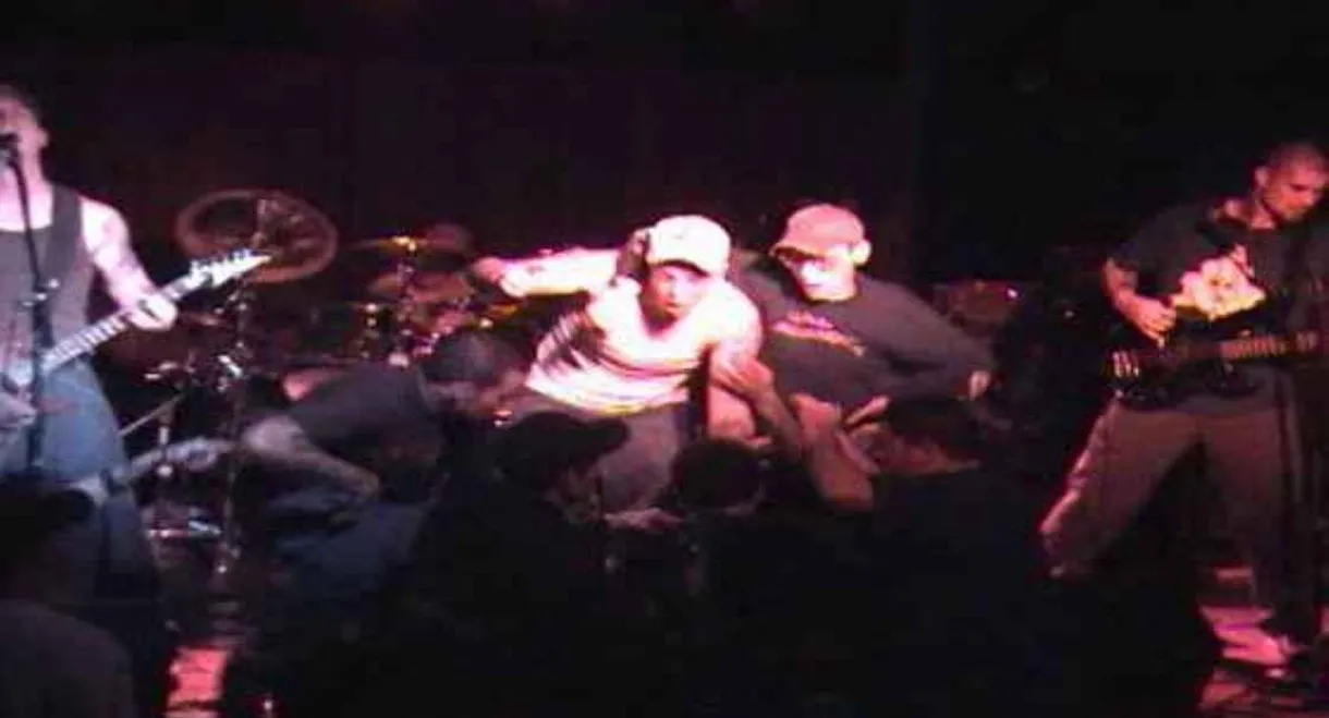 Boston Beatdown: See the World Through Our Eyes