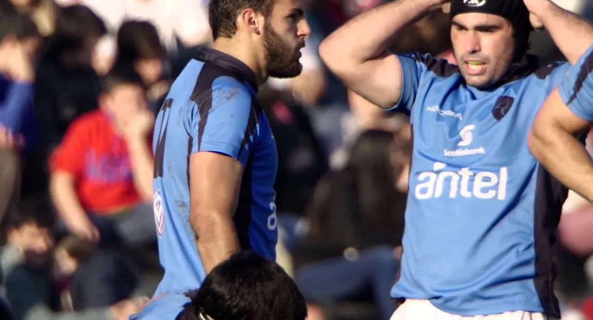 Teros, sueño mundial