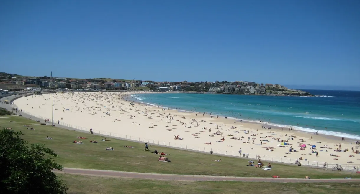 Bondi Rescue