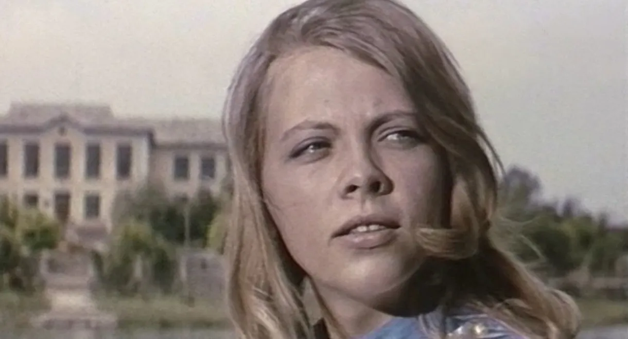 Between the High Crops