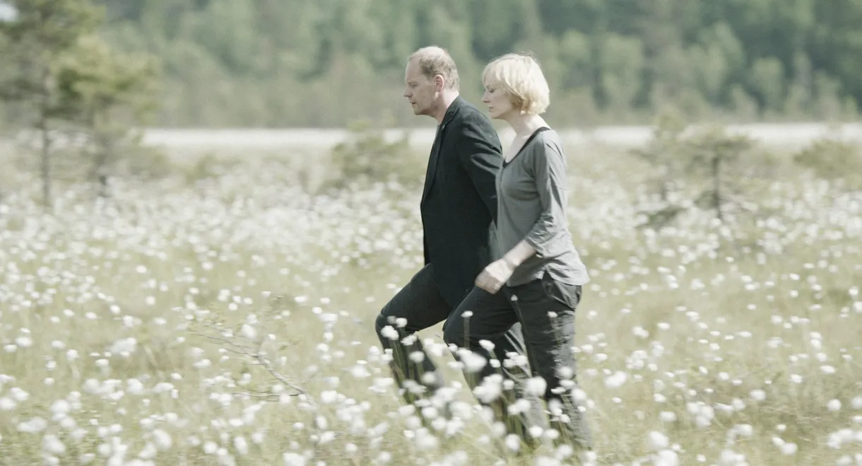 Landscape with Many Moons